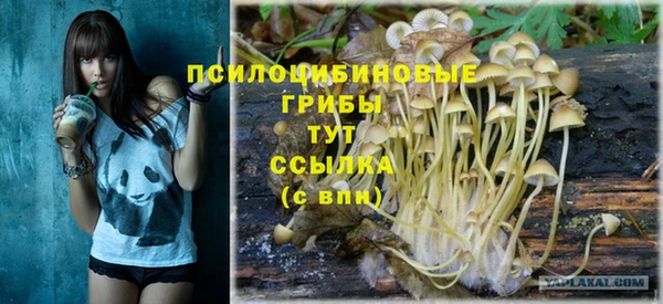 прущая мука Пролетарск